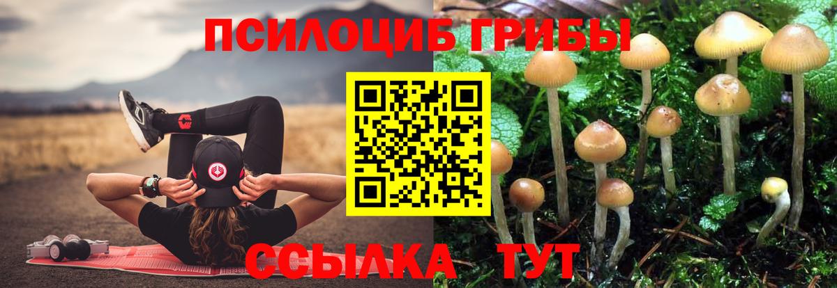 Искитим  Галлюциногенные грибы прущие грибы  Галлюциногенные грибы GOLDEN TEACHER  Вход с VPN 